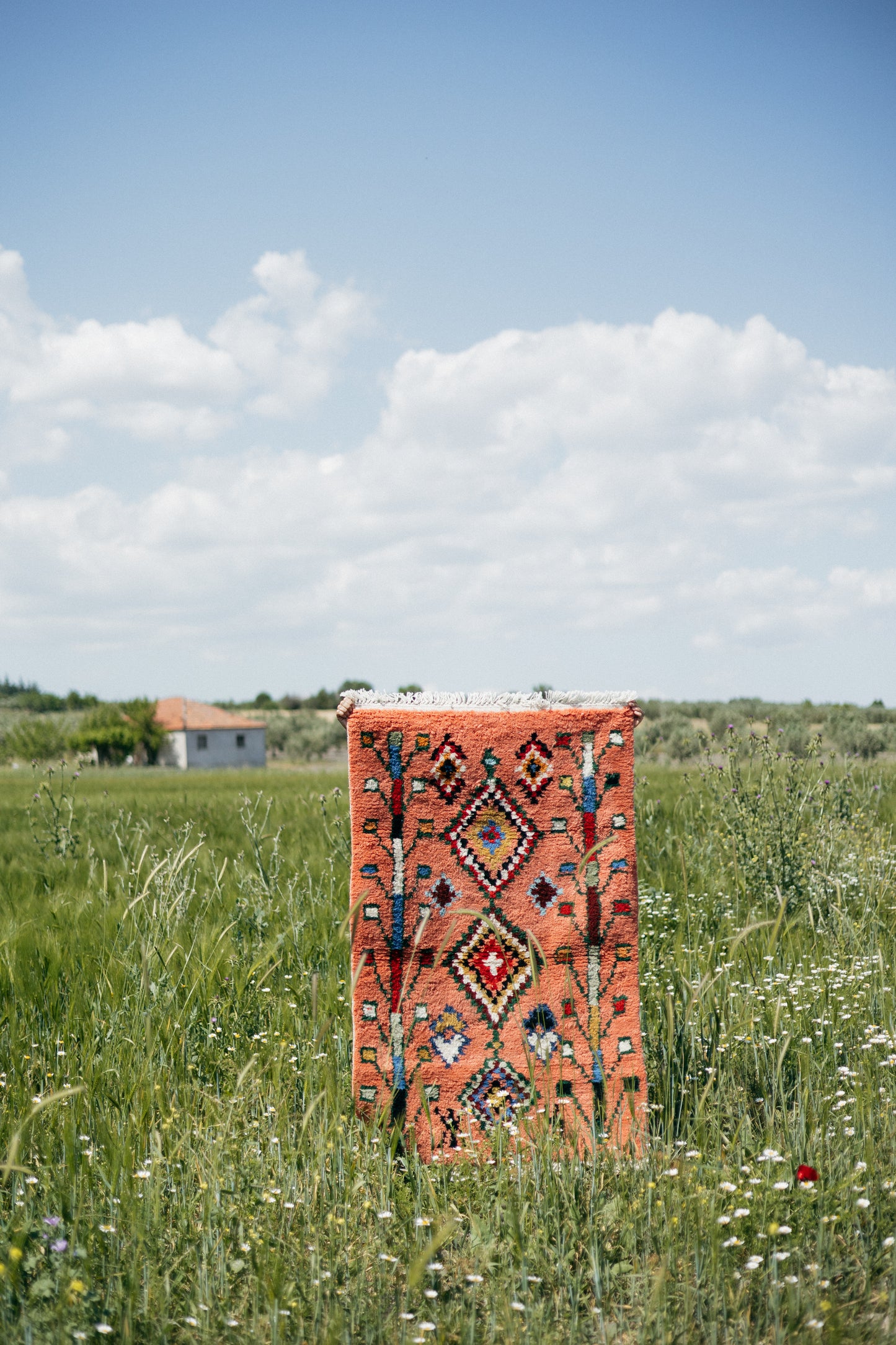 Charm Coral Aurora Rug - Sublime Femininity Handwoven Velvet