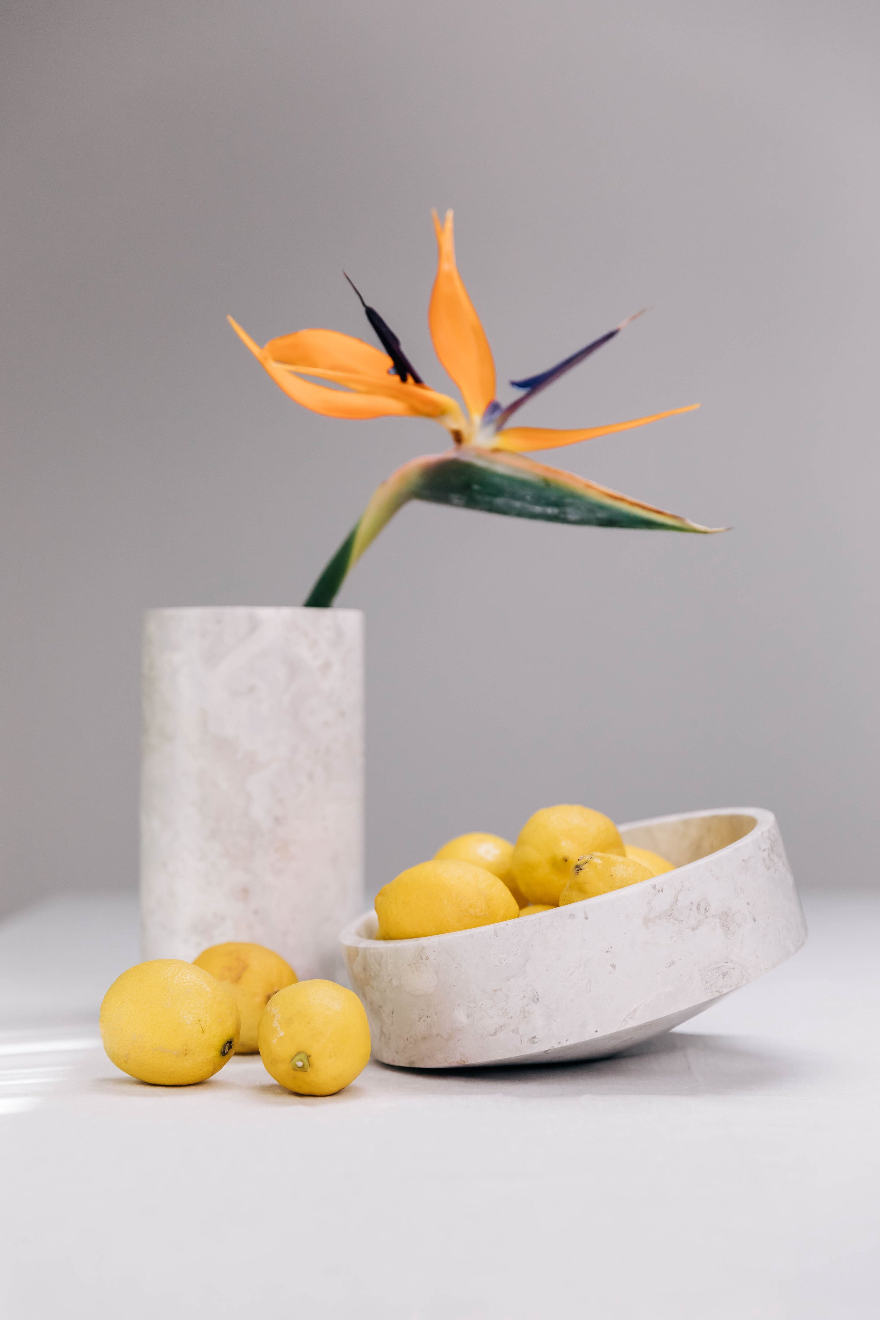 Jarrón Holder Blanco Celestial - Pureza Luminosa que Eleva las Flores al Arte