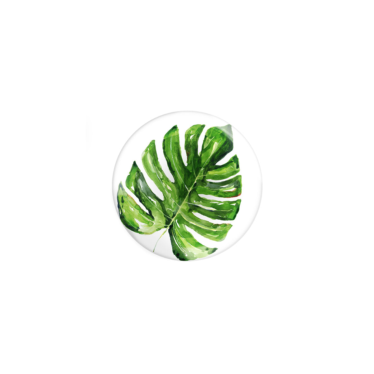 Small Plate Exotic Collection - Global Inspiration