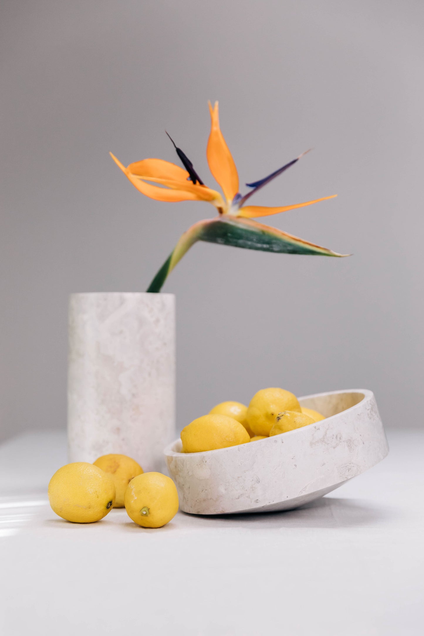 Celestial White Holder Vase - Luminous Purity that Elevates Flowers to Art